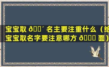 宝宝取 🐴 名主要注重什么（给宝宝取名字要注意哪方 🐎 面）